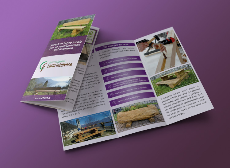grafica stampa brochure consorzio forestale intelvese