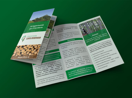 grafica stampa brochure consorzio forestale intelvese